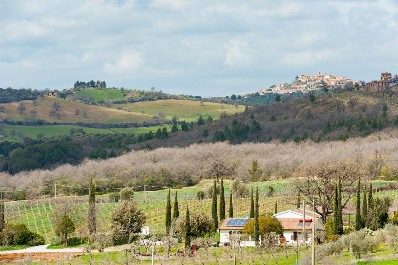 Artemisia Negli Ulivi B&B Magliano in Toscana Exterior photo