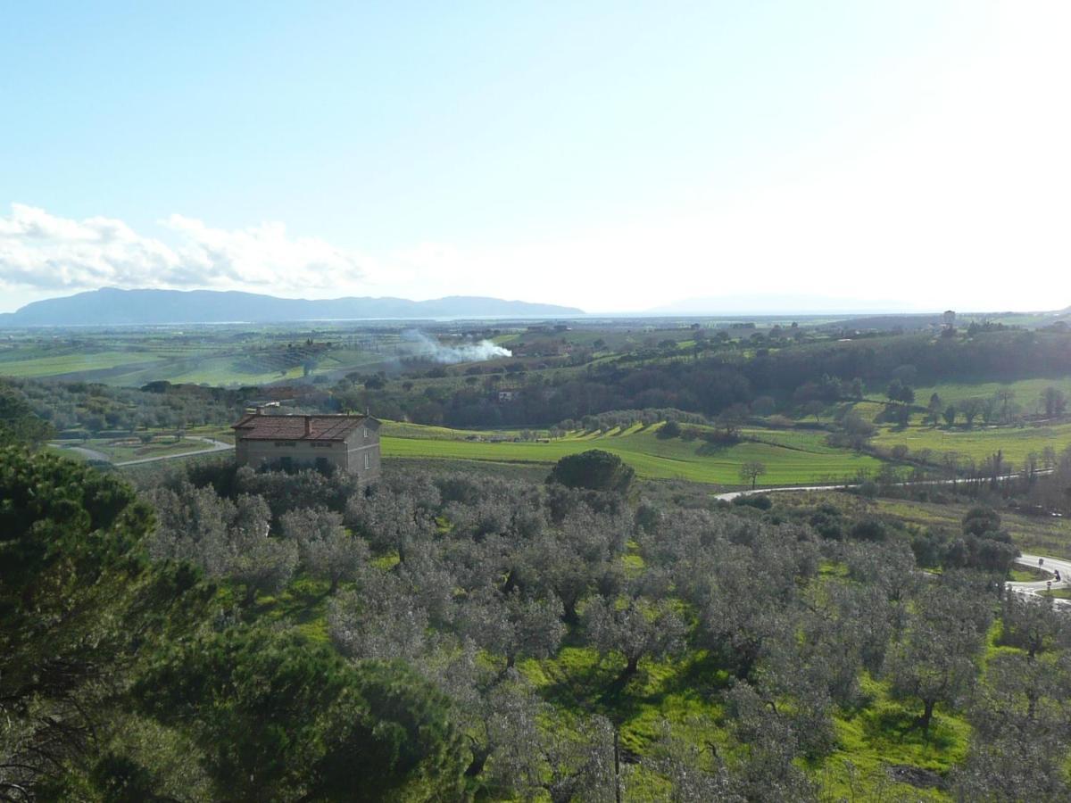 Artemisia Negli Ulivi B&B Magliano in Toscana Exterior photo