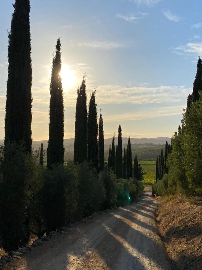 Artemisia Negli Ulivi B&B Magliano in Toscana Exterior photo