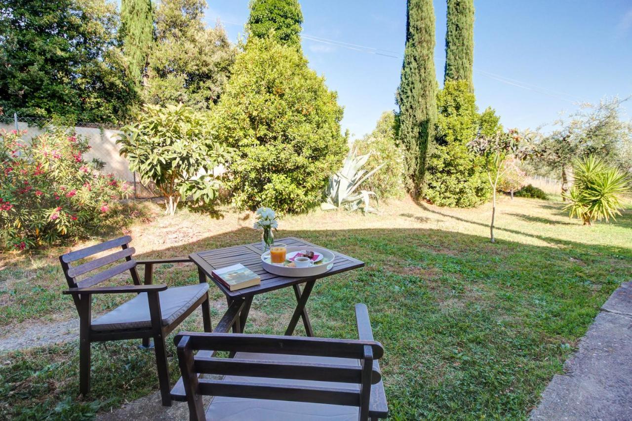Artemisia Negli Ulivi B&B Magliano in Toscana Exterior photo