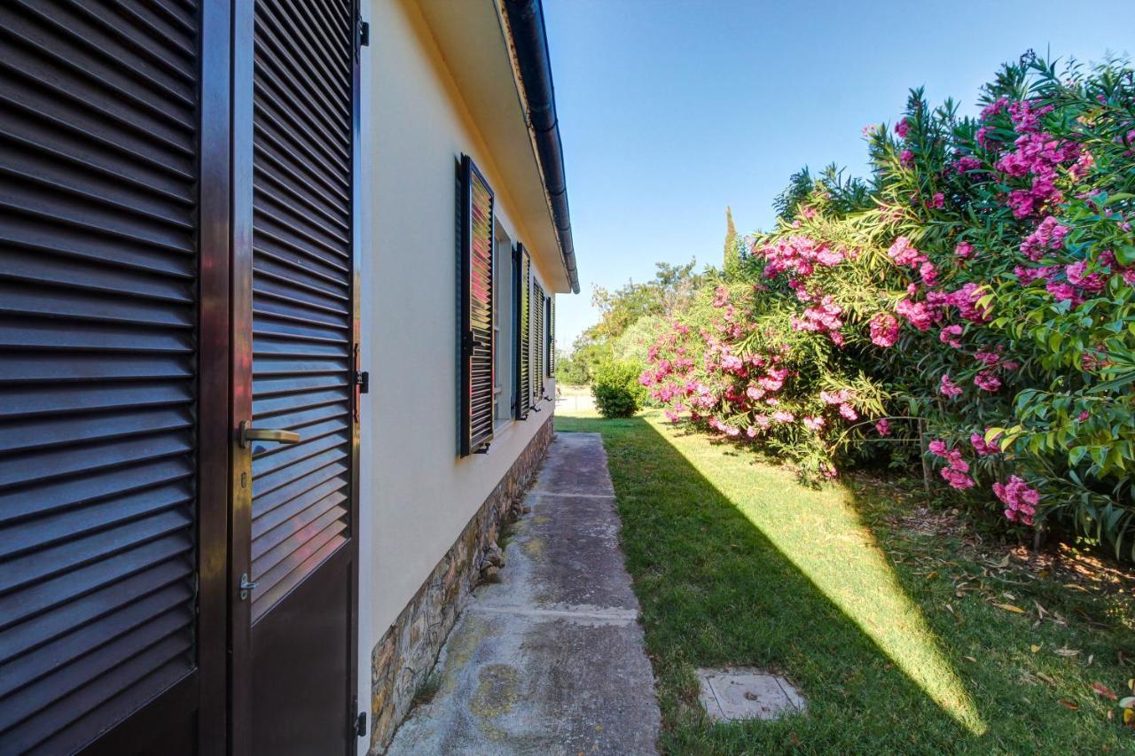 Artemisia Negli Ulivi B&B Magliano in Toscana Exterior photo