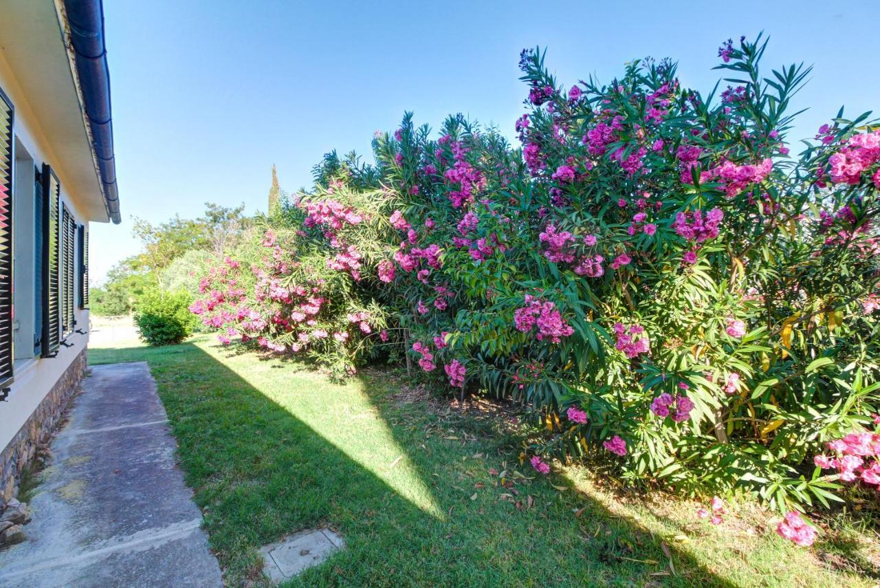 Artemisia Negli Ulivi B&B Magliano in Toscana Exterior photo